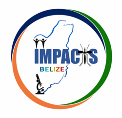Impacts Belize