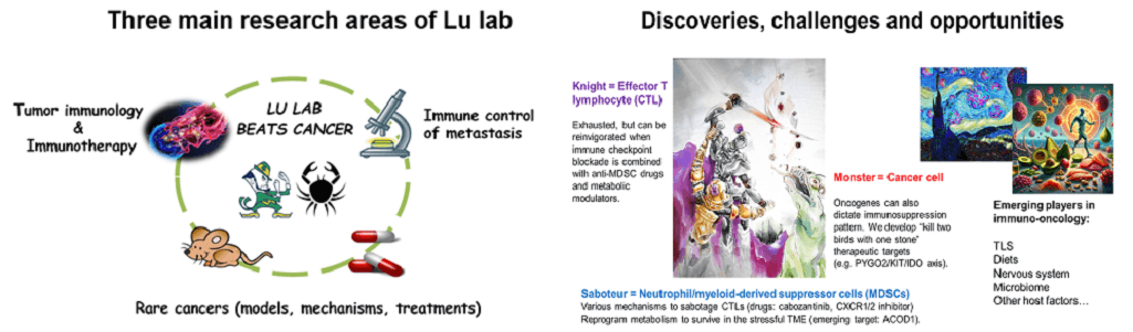 Lu Lab Research Areas