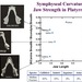 Symphyseal Curvature & Jaw Strength in Platyrrhines