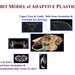 Rabbit Model of Adaptive Plasticity