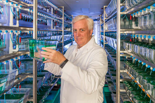 david_hyde_zebrafish.jpg