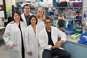 Researchers Confirm Molecule's Role in Kidney Formation | News | News ...