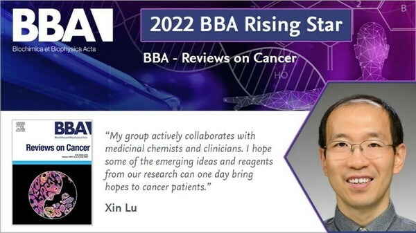 2022 Bba Rising Star Xin Lu