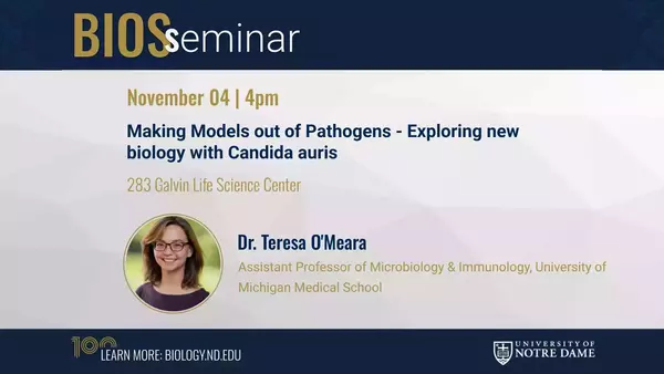 BIOS Seminar | Making Models out of Pathogens - Exploring new biology with Candida auris