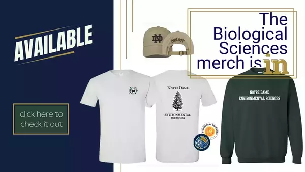 Shop BIOS Merch Banner